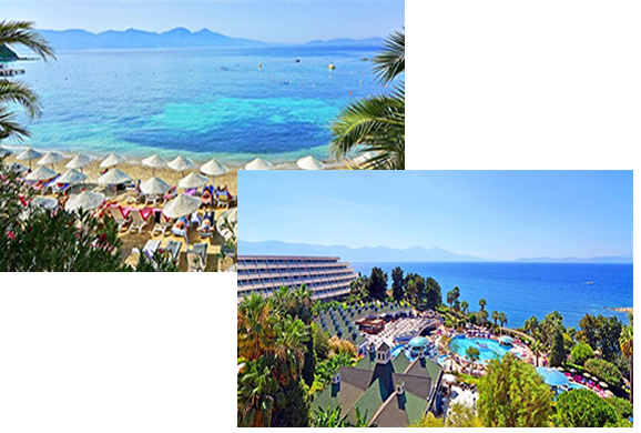 Размещение